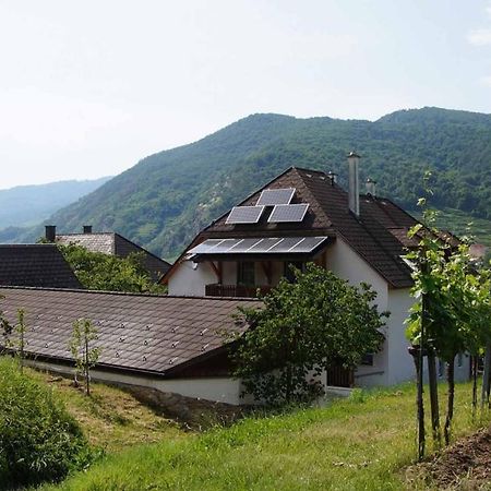 Weingut & Gaestezimmer Pammer Mitterarnsdorf ภายนอก รูปภาพ