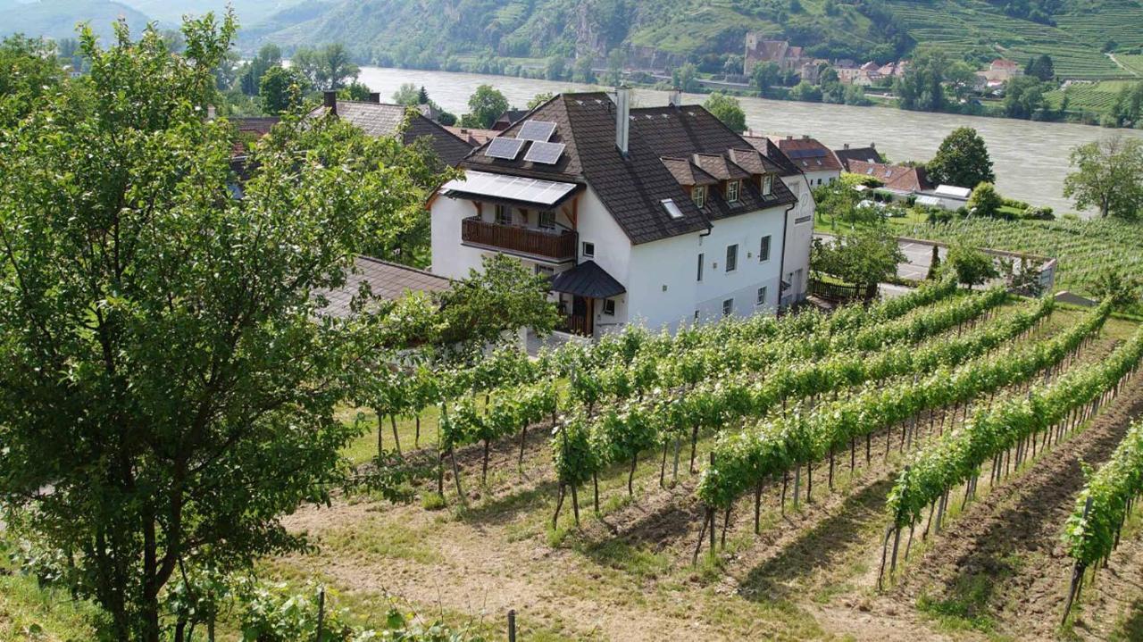 Weingut & Gaestezimmer Pammer Mitterarnsdorf ภายนอก รูปภาพ