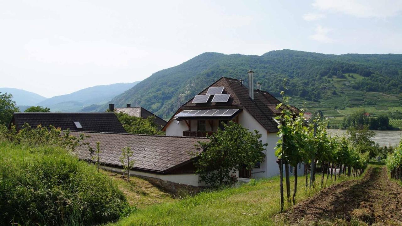 Weingut & Gaestezimmer Pammer Mitterarnsdorf ภายนอก รูปภาพ