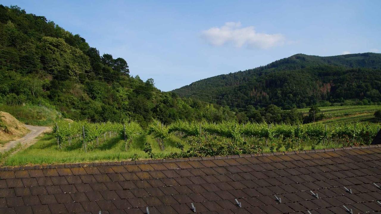 Weingut & Gaestezimmer Pammer Mitterarnsdorf ภายนอก รูปภาพ
