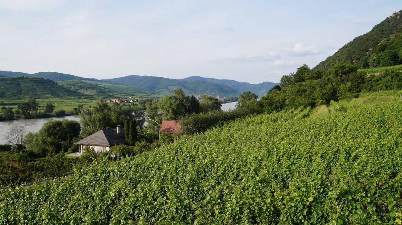 Weingut & Gaestezimmer Pammer Mitterarnsdorf ภายนอก รูปภาพ
